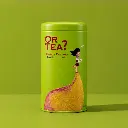 ChatGPT Image Jun 15, 2026, 11_41_11 AM.webp